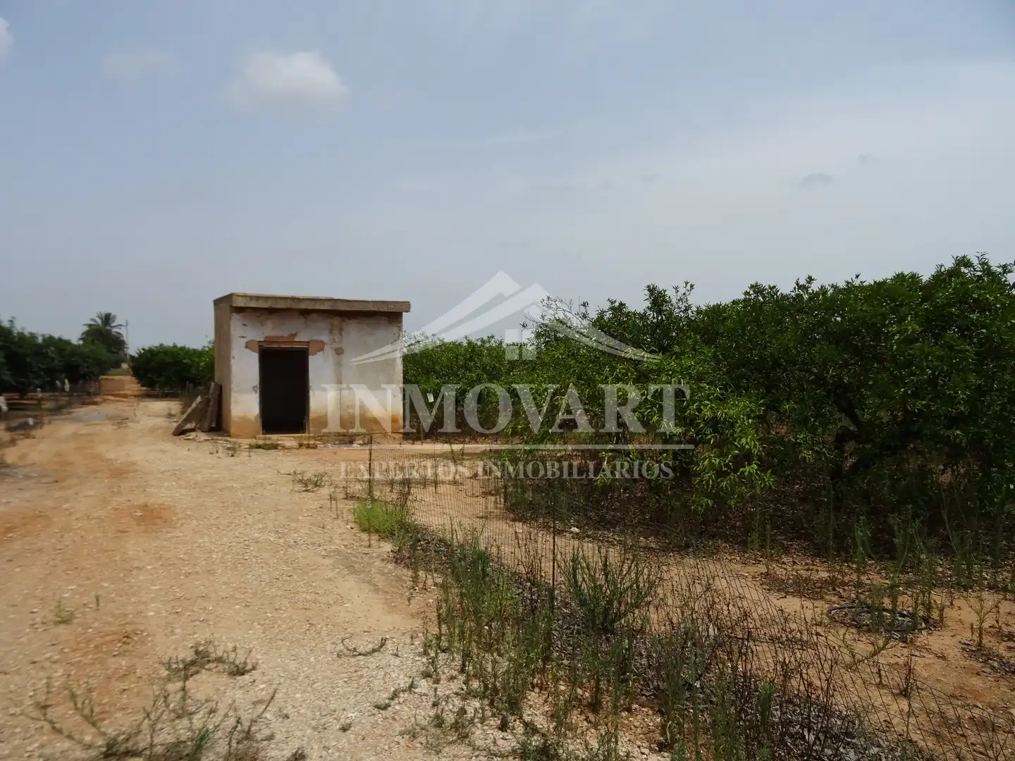 Terreno en venta en Algemesí