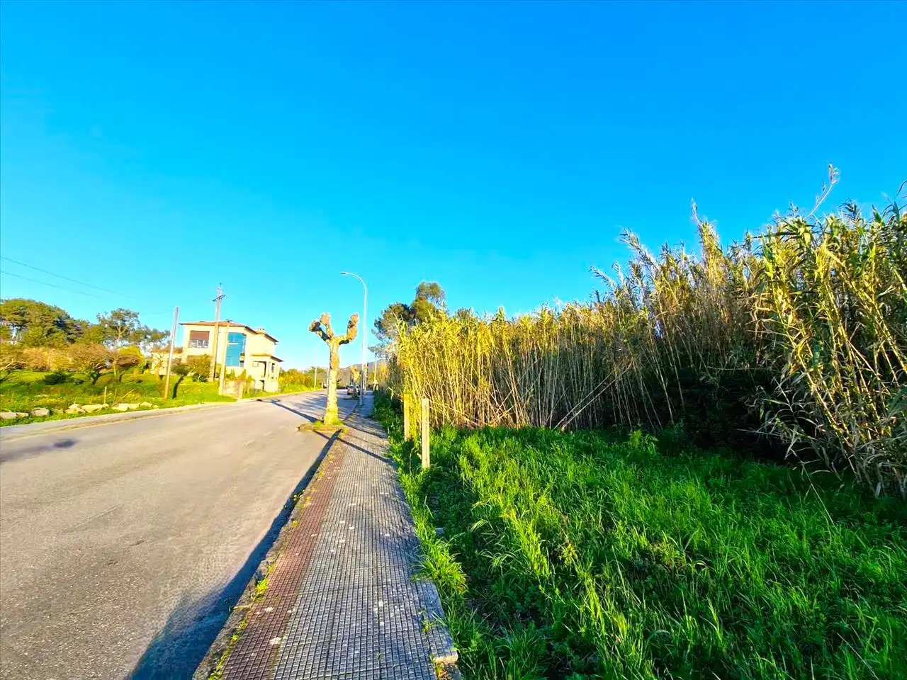 Lands and plots for sale in REVERENDO J.M. PEREZ ALONSO-NIGRA, imagen 9