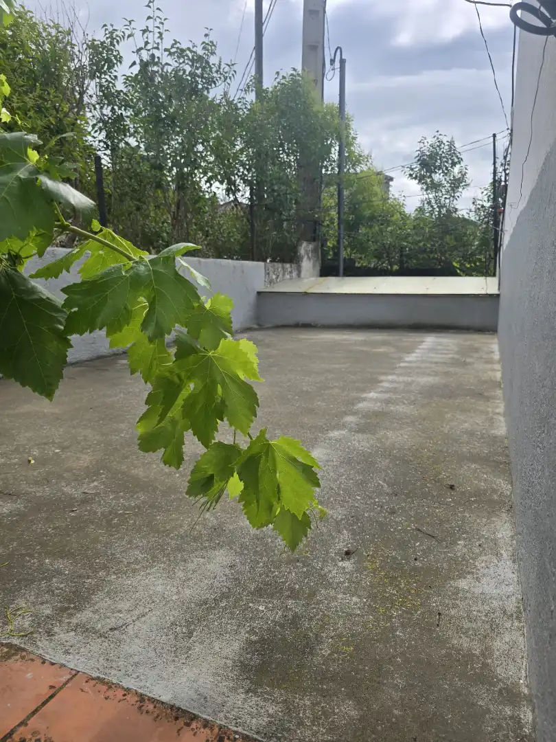 Terrace of Land for sale in Vacarisses