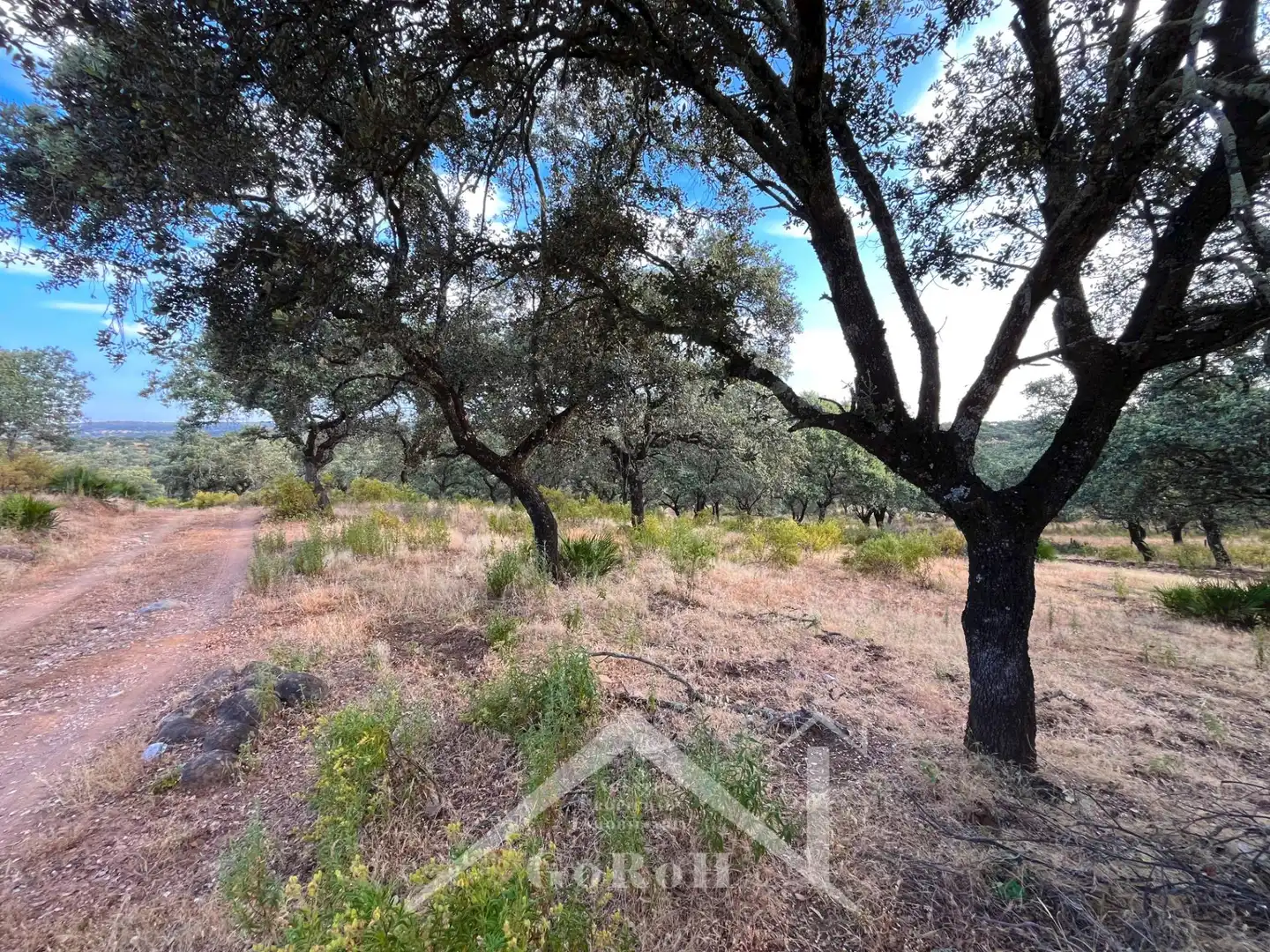 Terreni e lotti in vendita a Castilblanco de los Arroyos, imagen 9