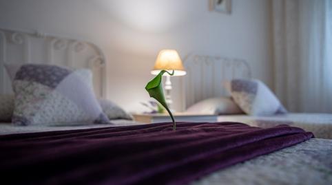 Photo 5 of Flat for sale in El Astillero  , Cantabria