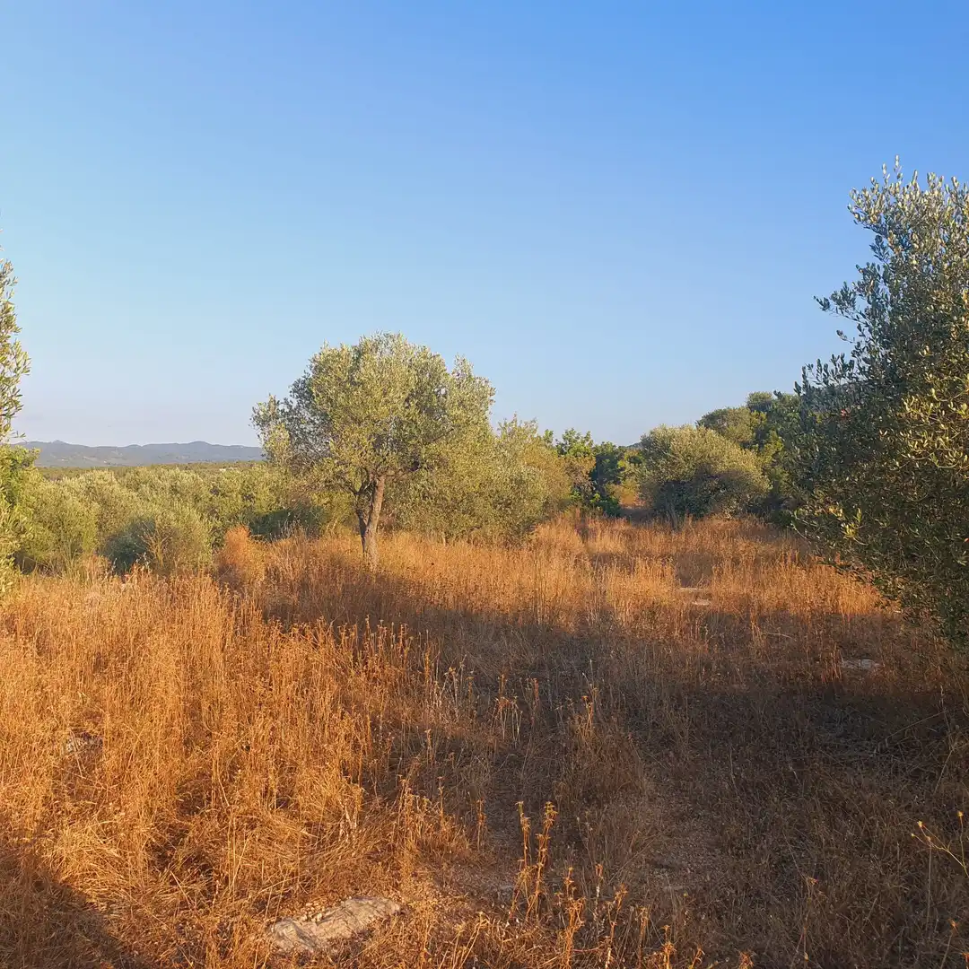 House for sale in Rasquera, imagen 26