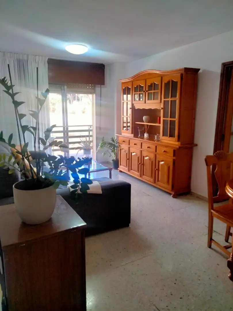 Living room of Apartments for sale in Arona  with Storage room, Furnished and Balcony