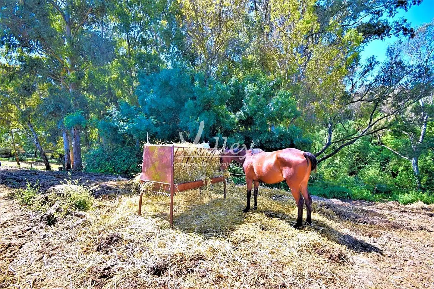 Terreni e lotti in vendita a Jimena de la Frontera, imagen 49