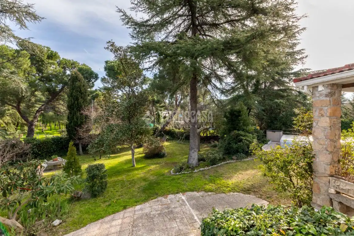 Jardín de Casa o chalet en venta en Las Rozas de Madrid con Jardín privado y Piscina