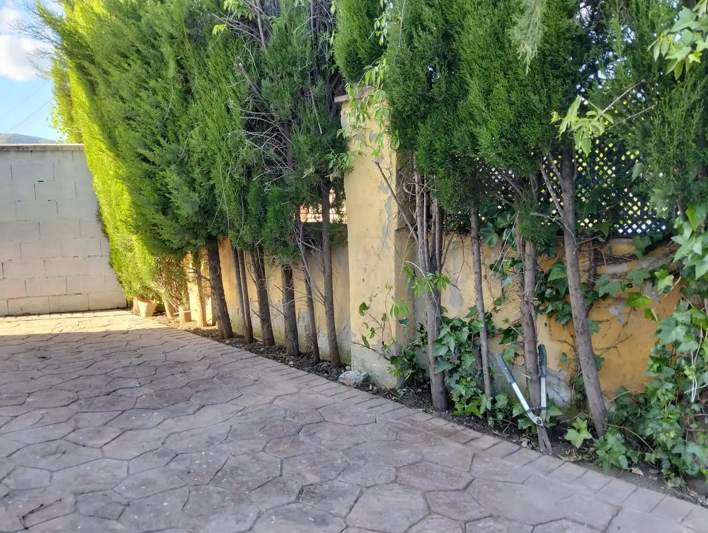 Villa con piscina in vendita a Periurbano Oeste - Sierra, imagen 32