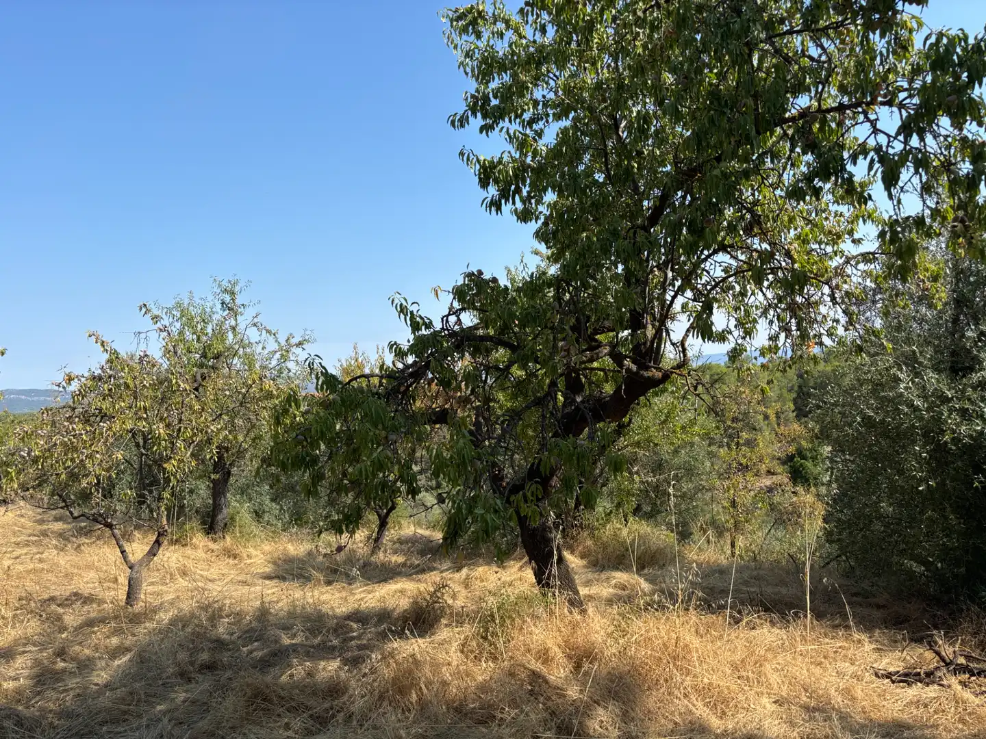 Rural land for sale in Carrer de la Muntanya, imagen 42