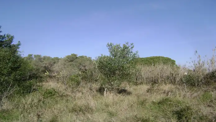 Rural land for sale in Poligono, imagen 6