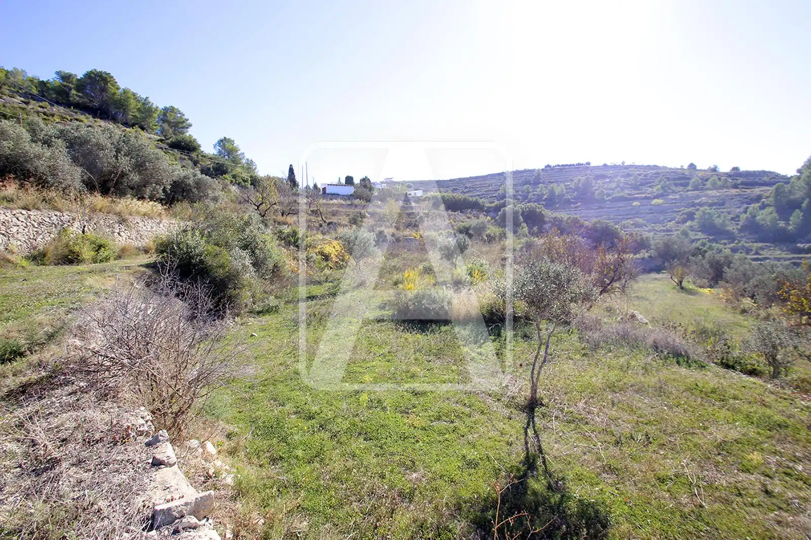 Terreny residencial en venda a Benissa pueblo, imagen 5