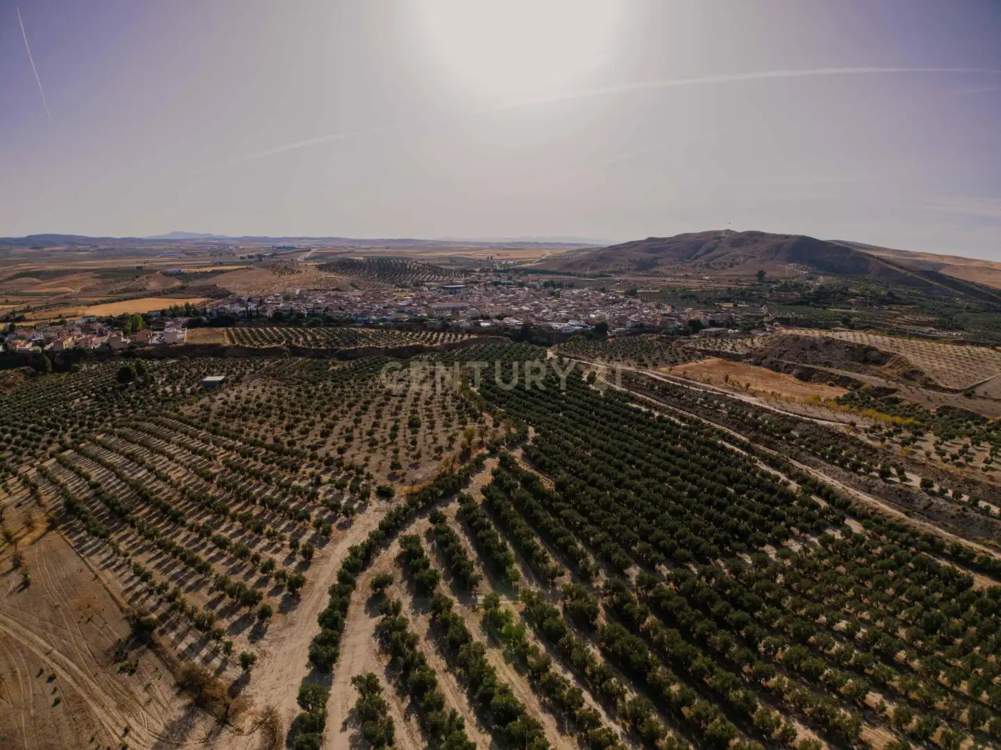 Terreno rústico en venta en 472M+GF La Malahá, Spain, imagen 9