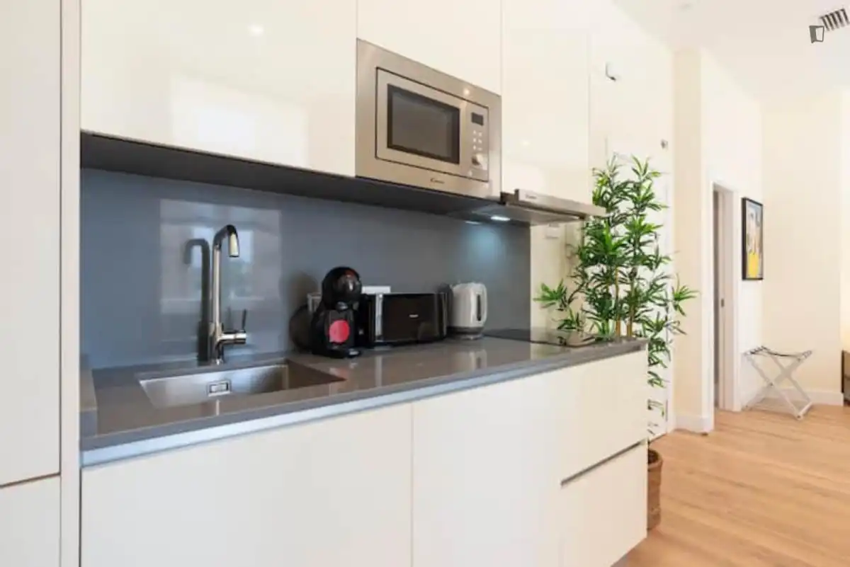 Study for rent in La Malagueta - Monte Sancha