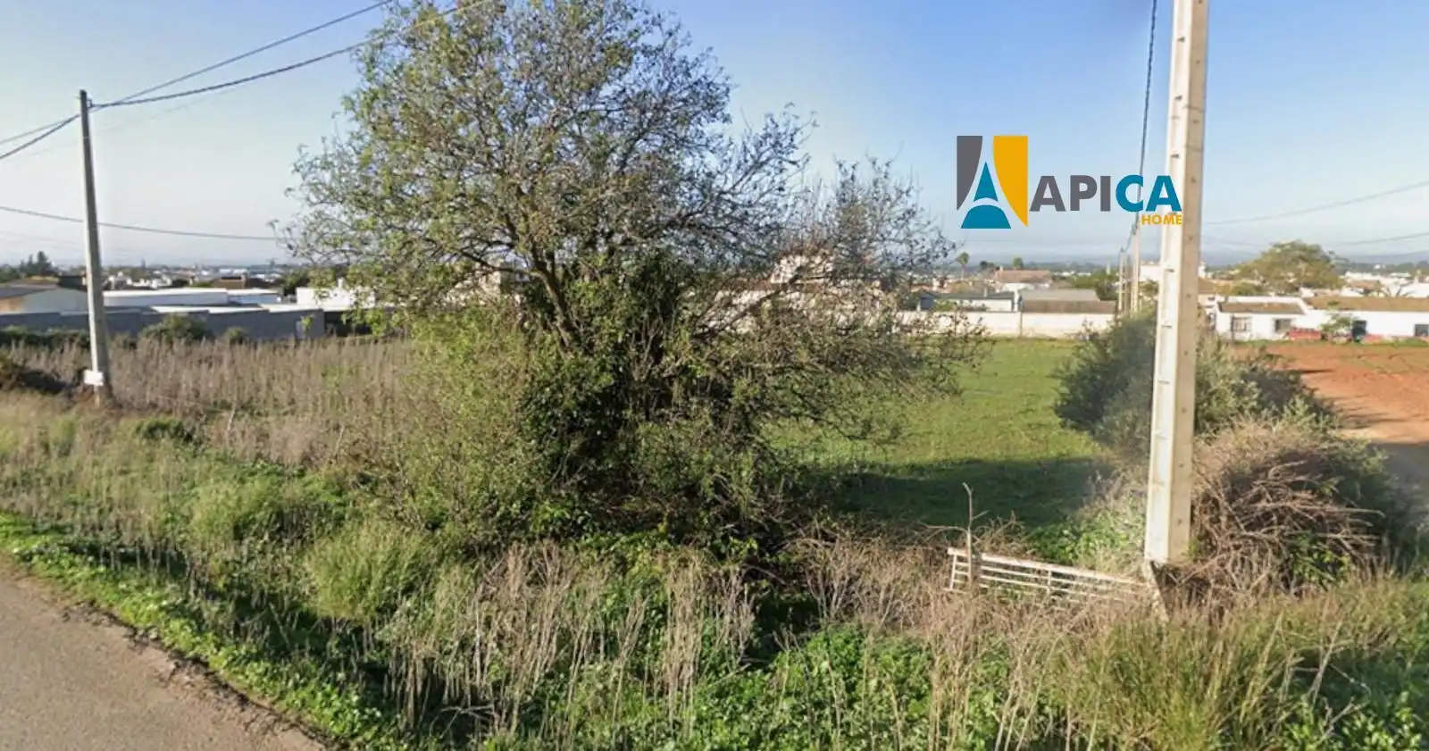 Rural land for sale in Barrio Nuevo, imagen 2