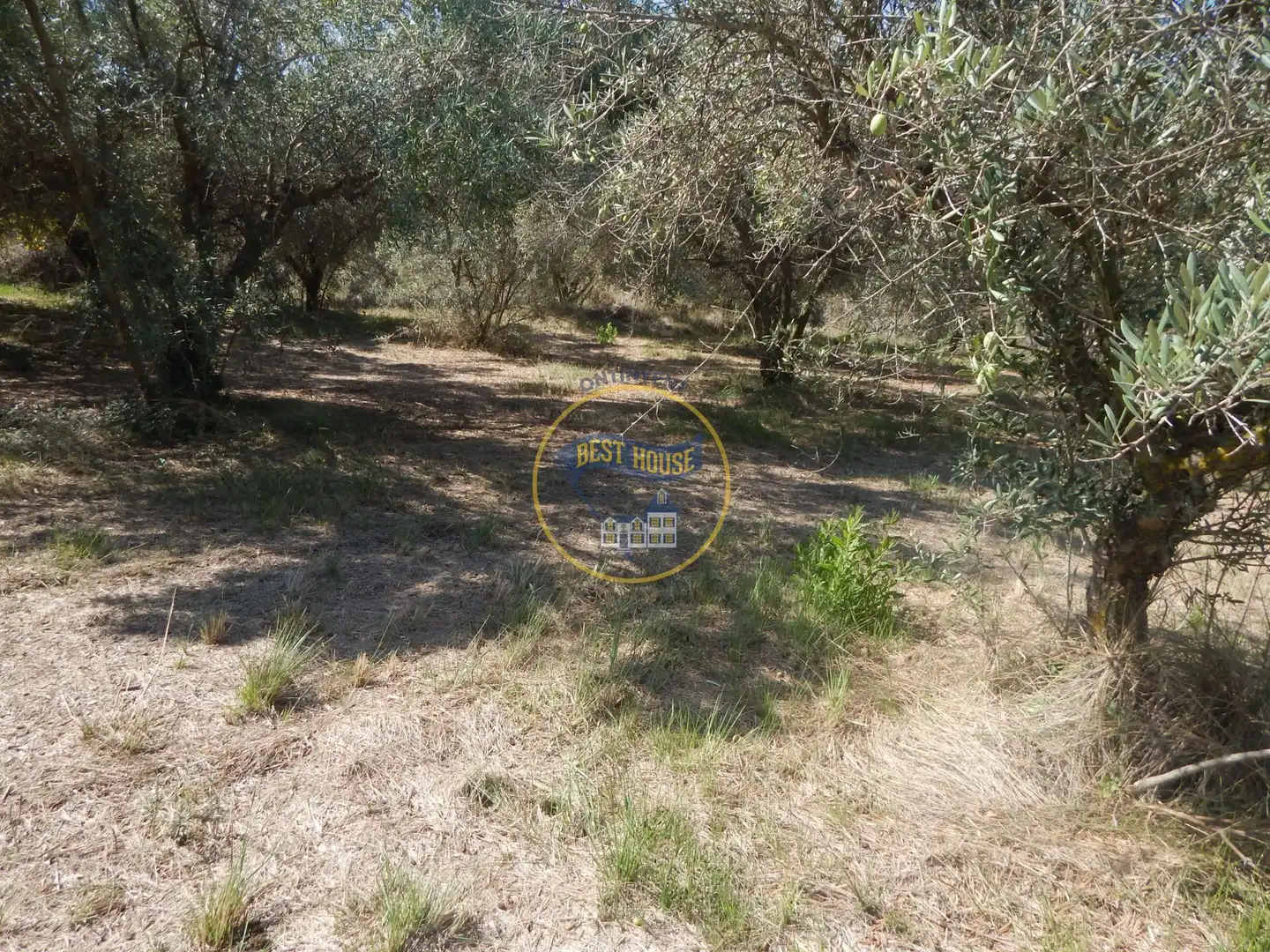 Terrain rustique à vendre à Sant Josep - Zona Hospital, imagen 18