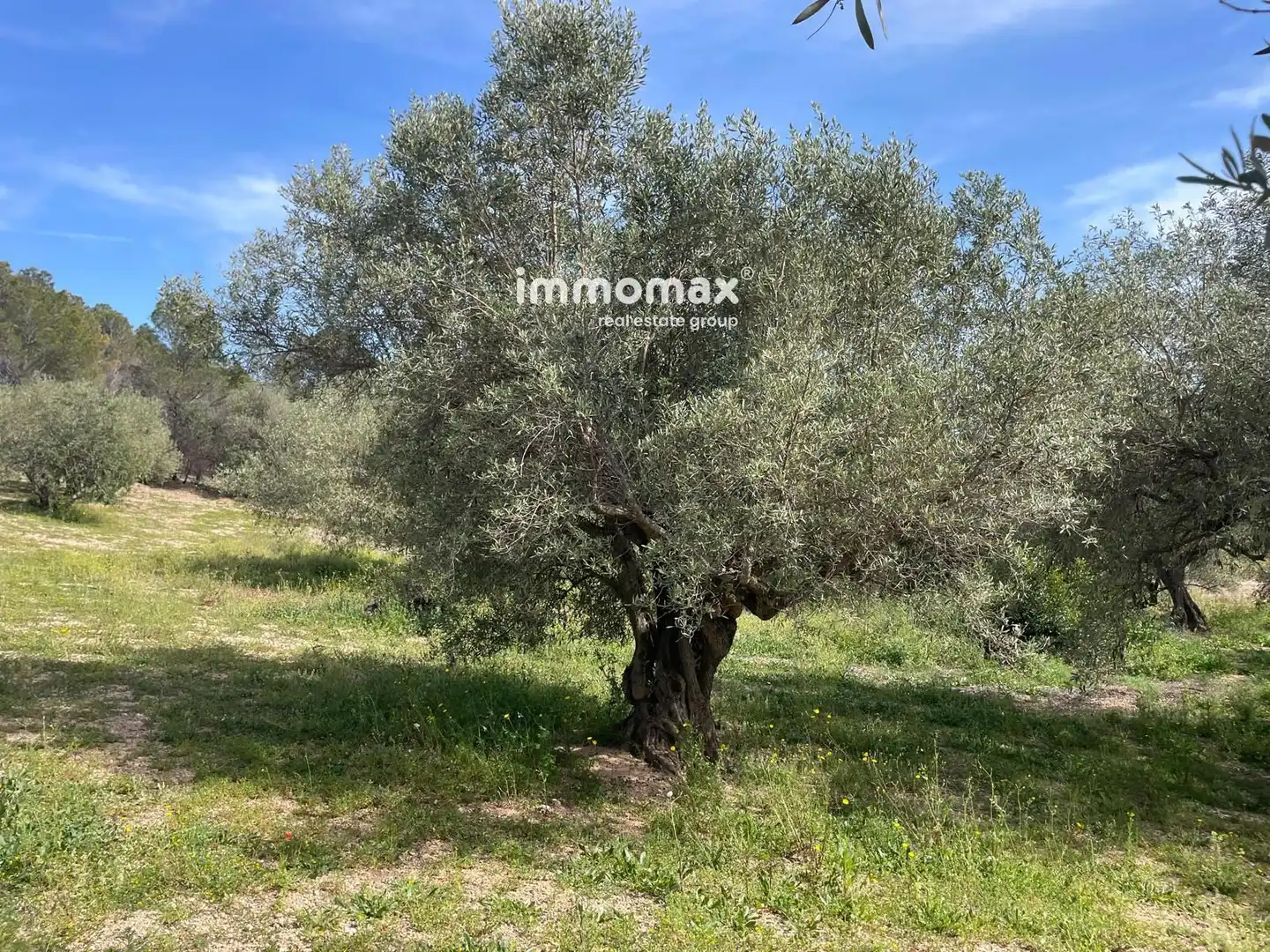 Residencial en venda en Xerta