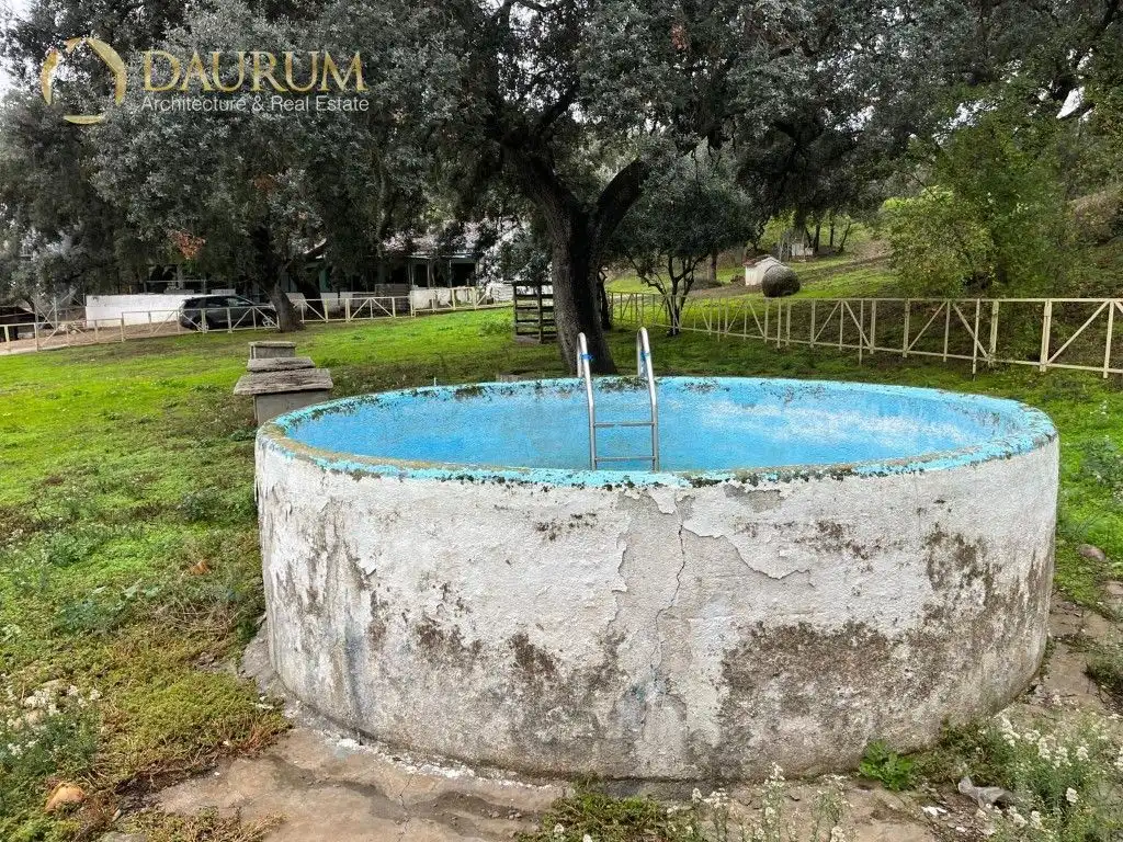 Piscina de Casa o chalet en venta en Aldea del Fresno