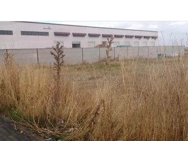 Terreny industrial en venda a Avenida de Nísperos