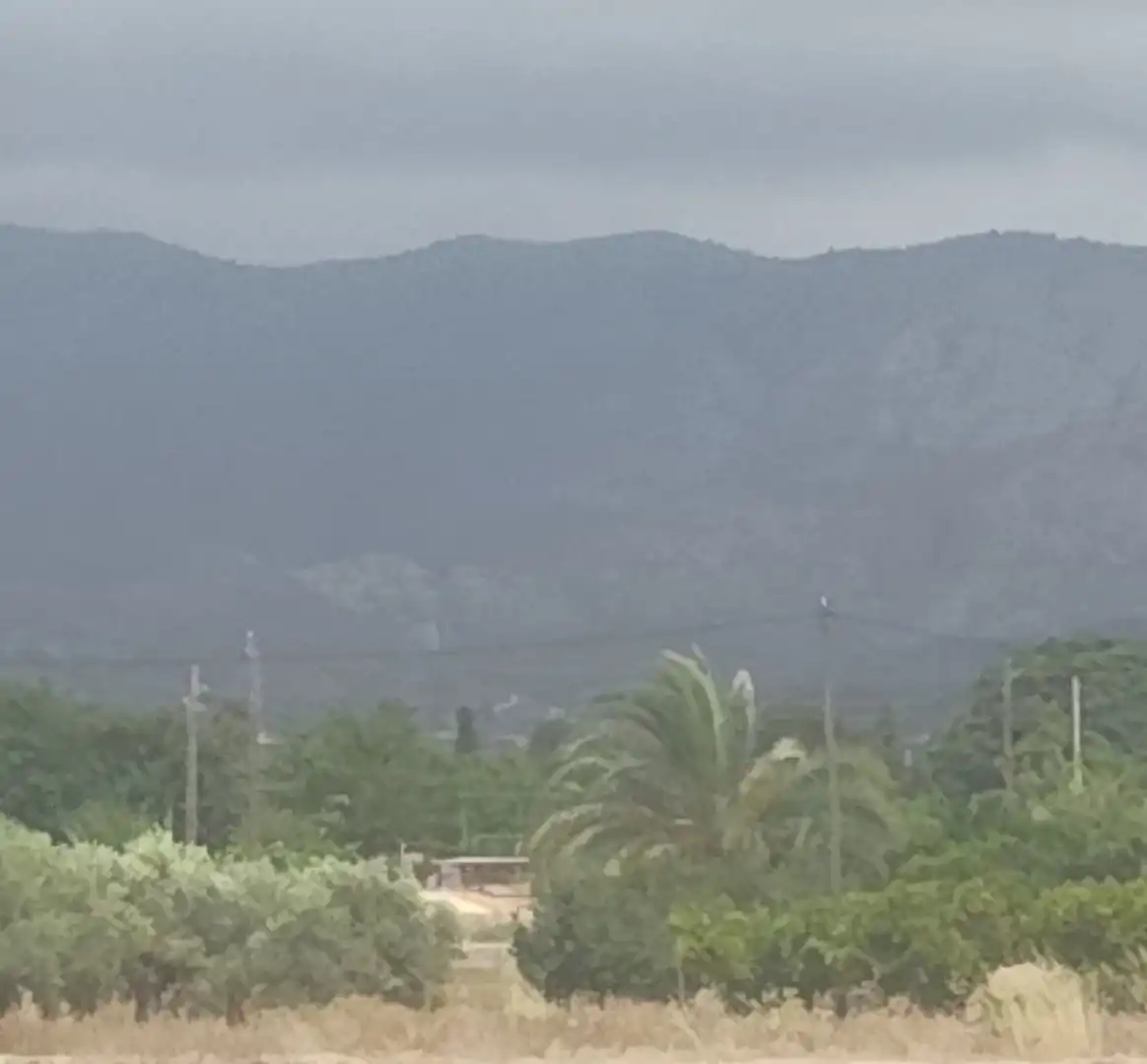 Terrain rustique à vendre à La Algoda - Matola - Llano de San José, imagen 2