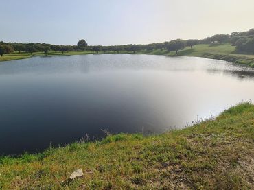 Terrenos y solares en venta en Casco Antiguo