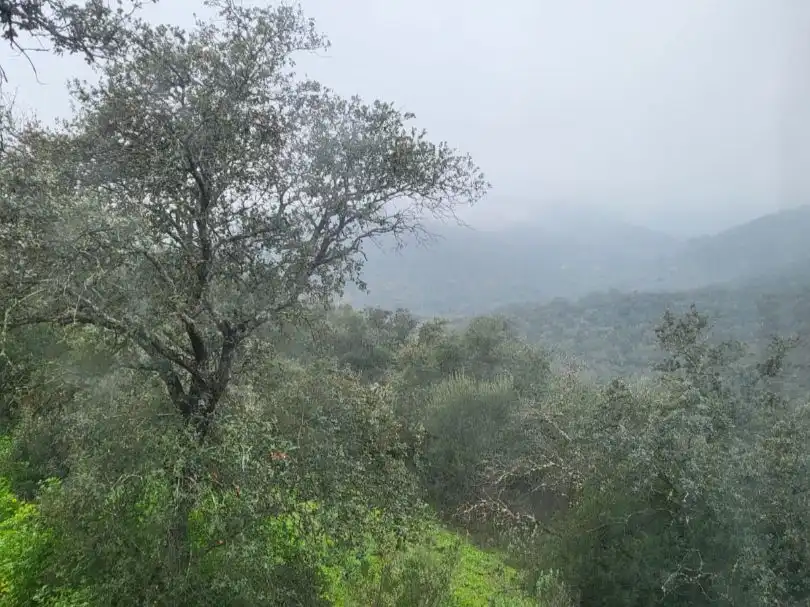 Terreno en venta en Córdoba