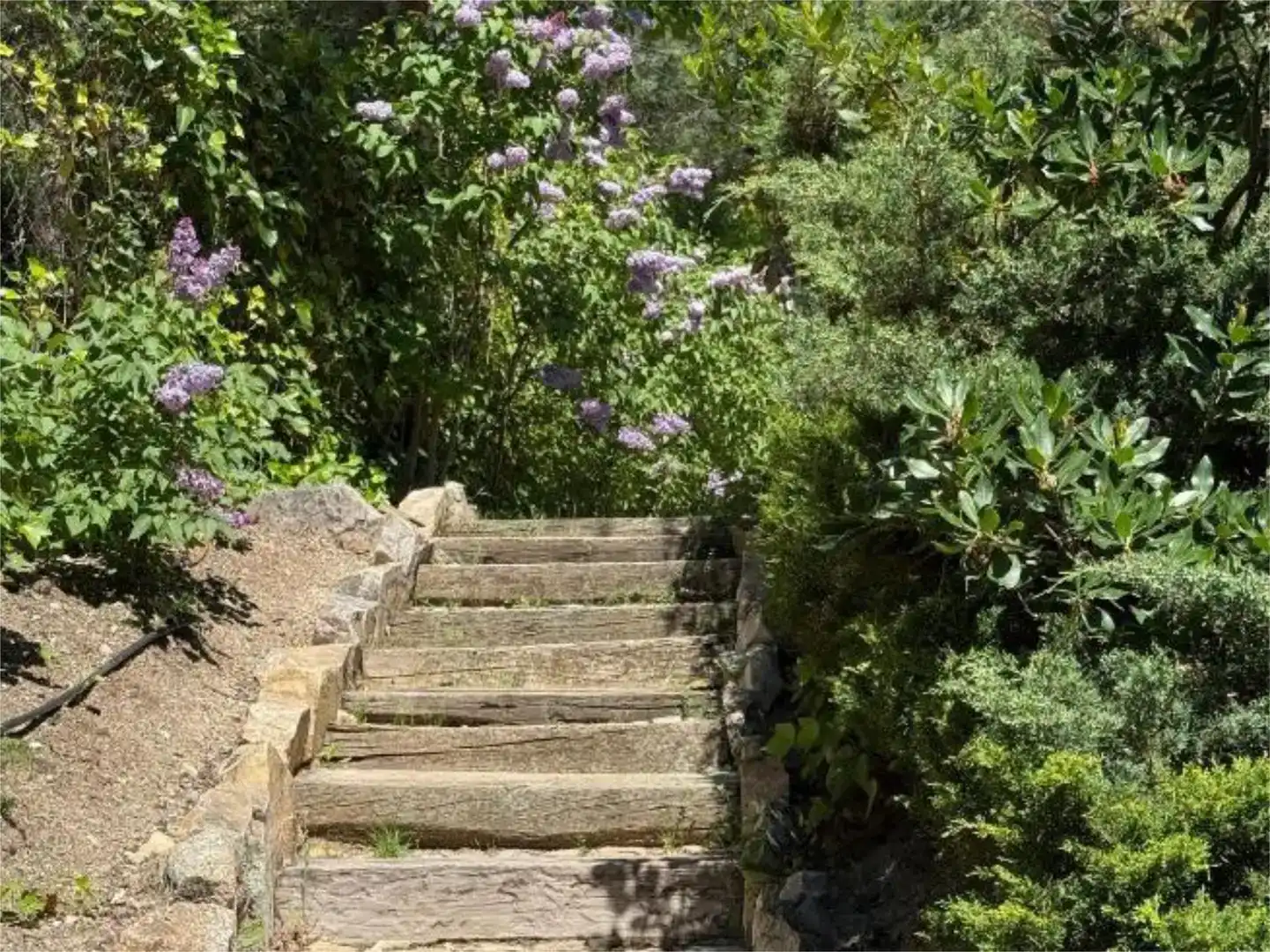 Garden of Flat for sale in Los Peñascales