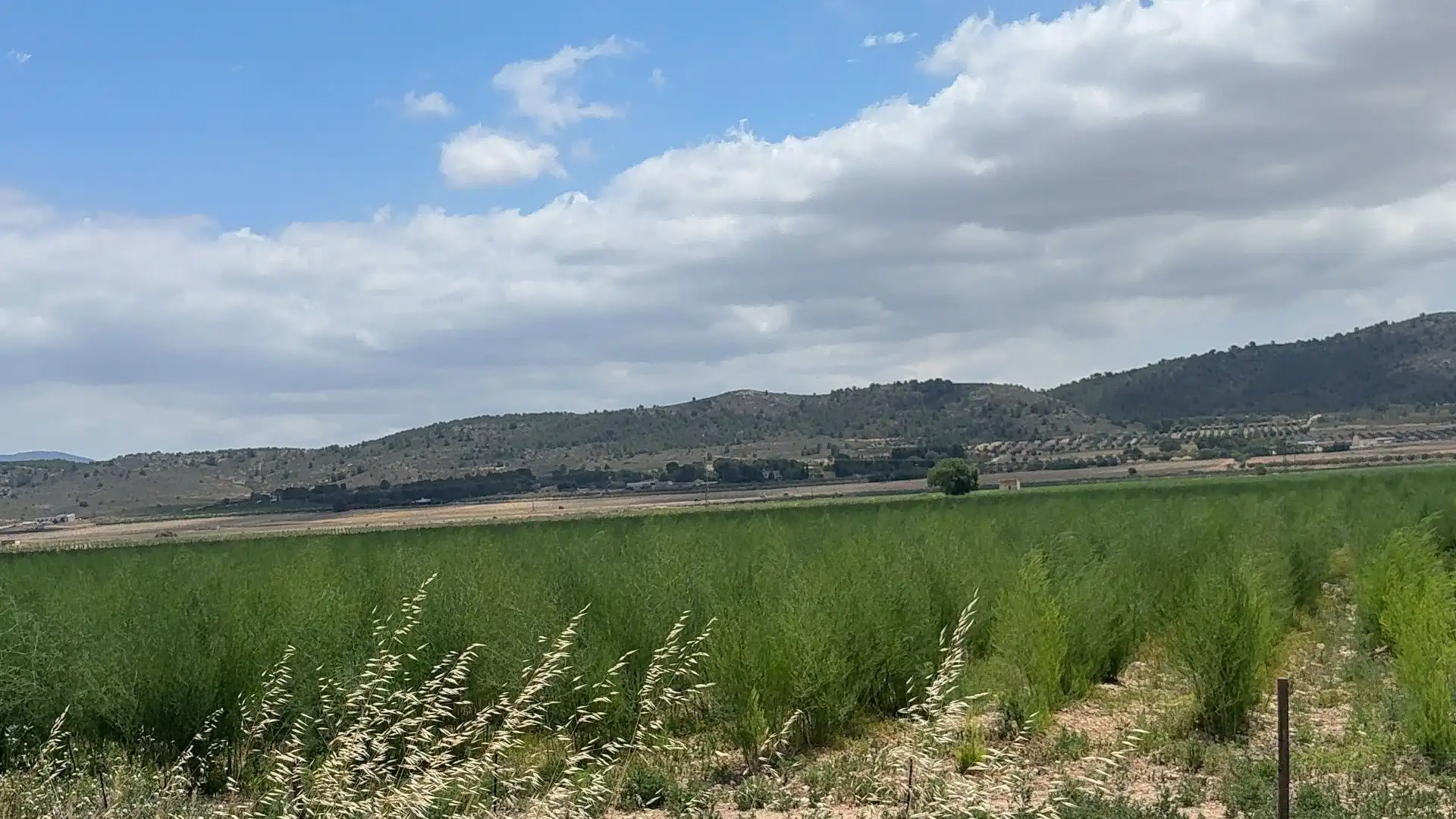 Residencial en venda en Villena