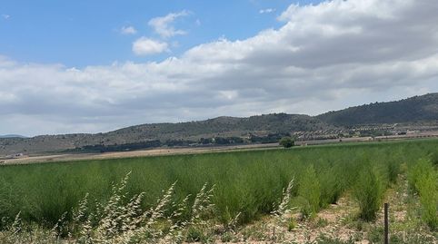 Foto 4 de Residencial en venda a Partidas Norte, Villena