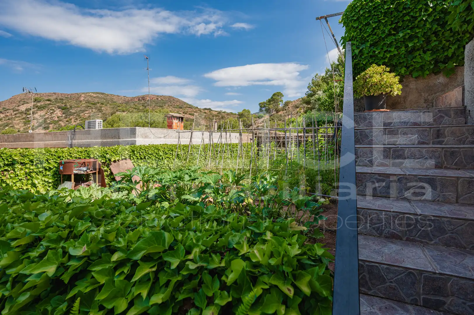 Detached homes for sale in Corral Nou - Montros - Estepar
