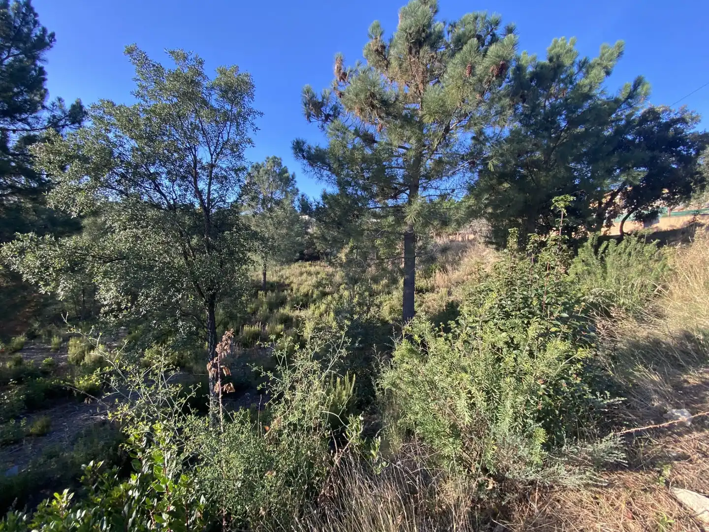 Terreno residencial en venta en Carrer Perdiu 38, imagen 22