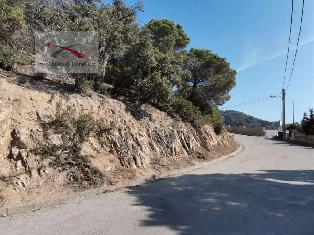 Wohnbaugrundstück zum Verkauf in Carrer Versalles 83, imagen 4
