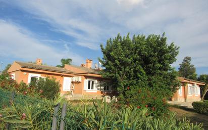 Jardí de Casa o xalet en venda en Marratxí amb Aire condicionat, Terrassa i Piscina