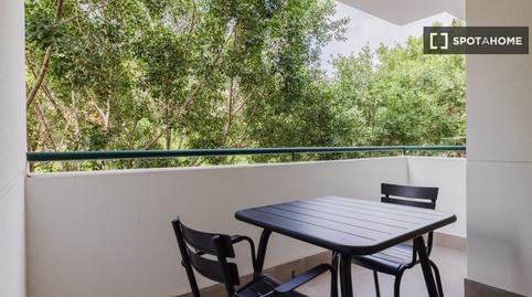 Foto 5 de Estudio para compartir en El Cónsul - Ciudad Universitaria - El Romeral, Málaga