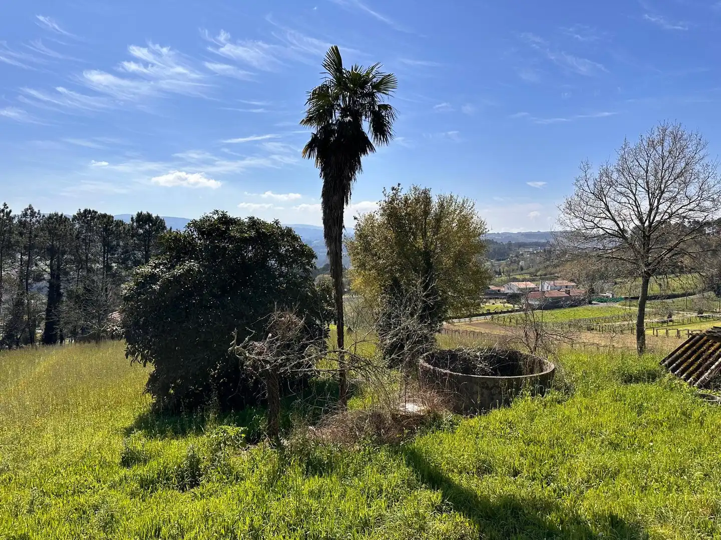 Houses for sale in Vedra  with Private garden