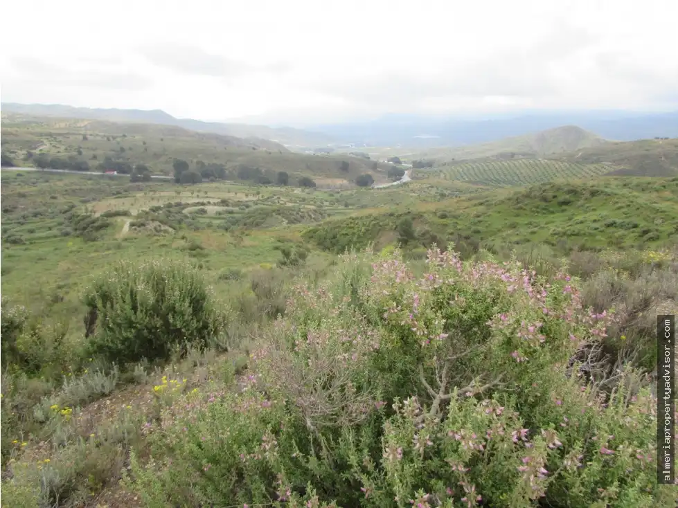 Country house for sale in Sorbas, imagen 13