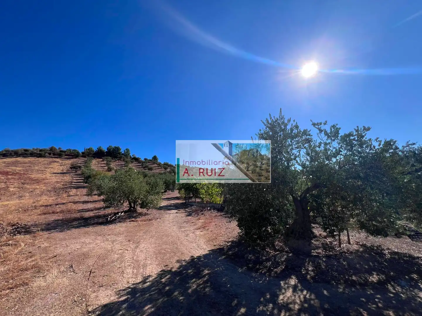 Landhaus zum Verkauf in Priego de Córdoba, imagen 25