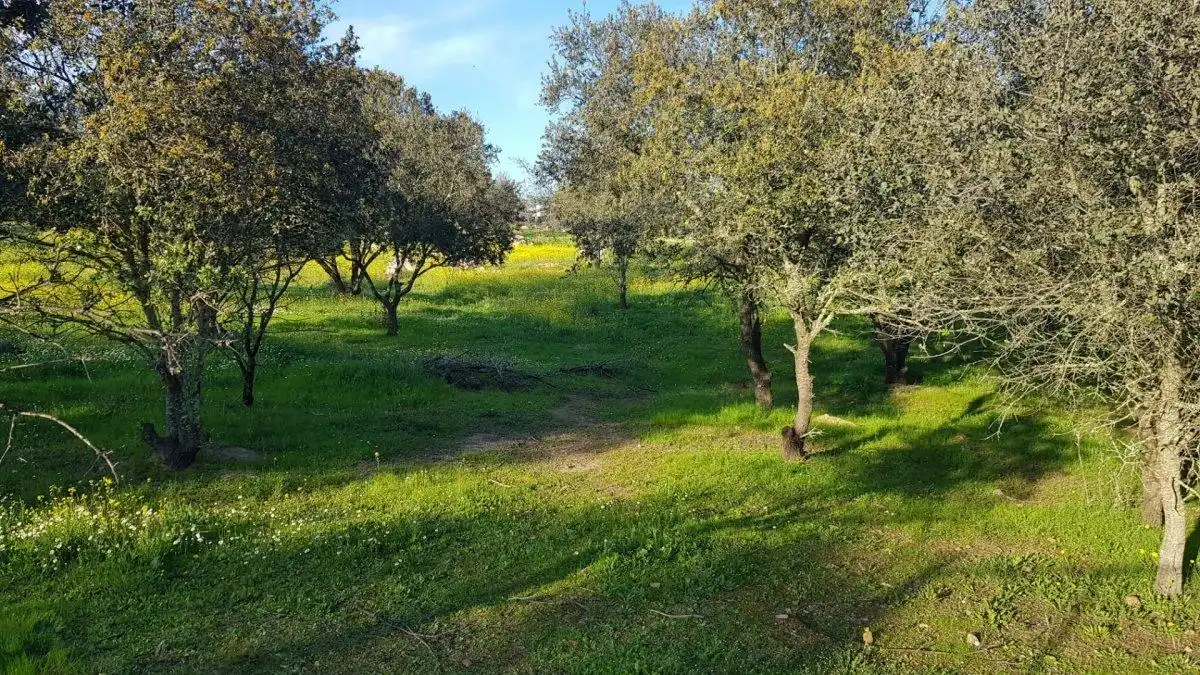Terreni e lotti in vendita a Calle del Hortelano, imagen 20