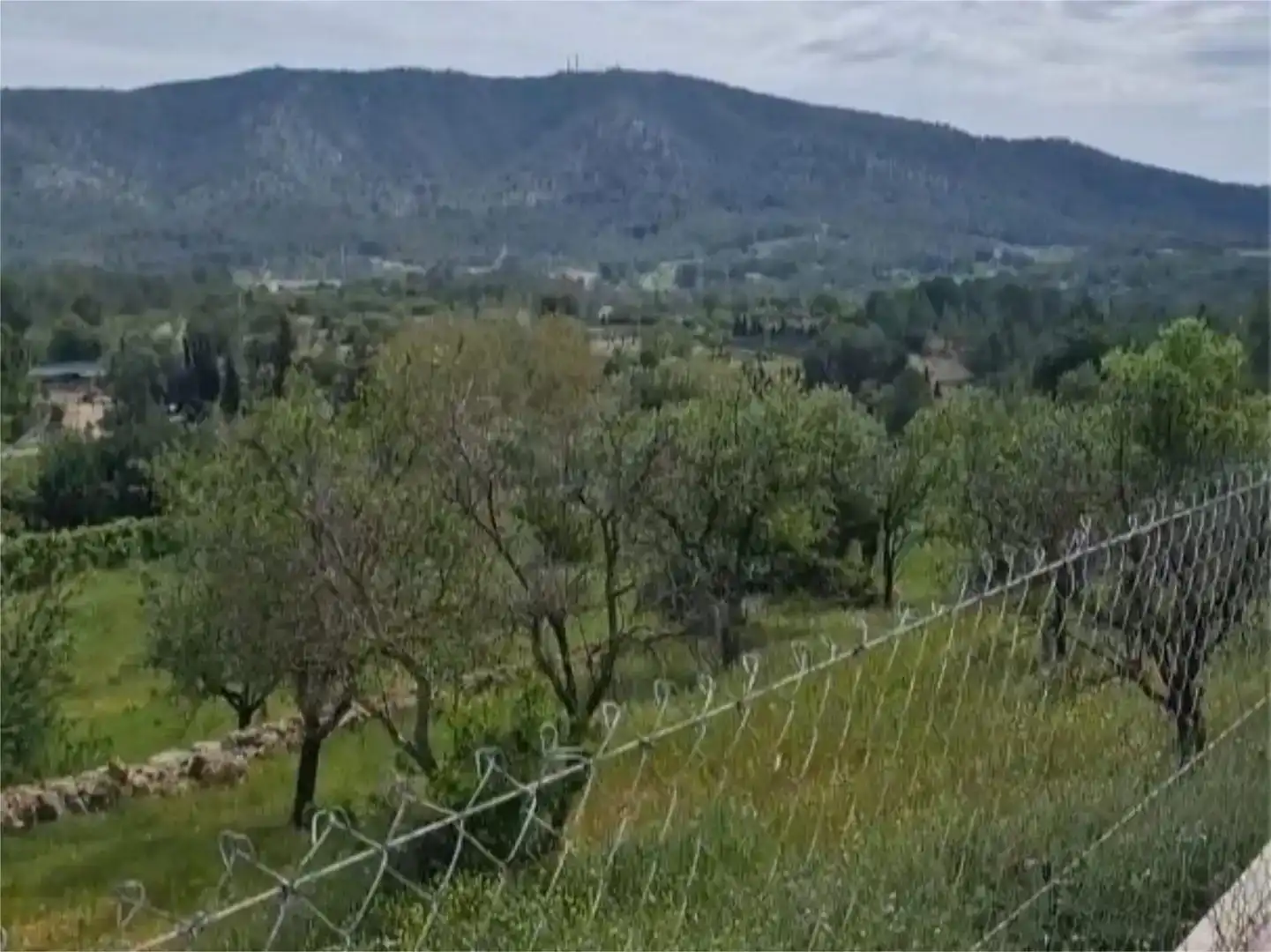 Piso en venta en Calvià pueblo