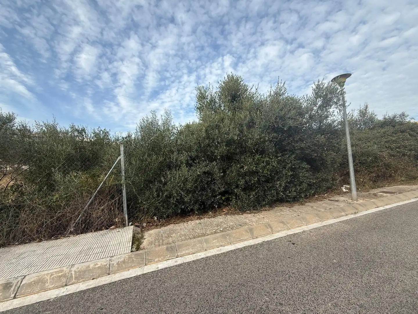 Wohnbaugrundstück zum Verkauf in Carrer Francesc de Riera 6, imagen 9