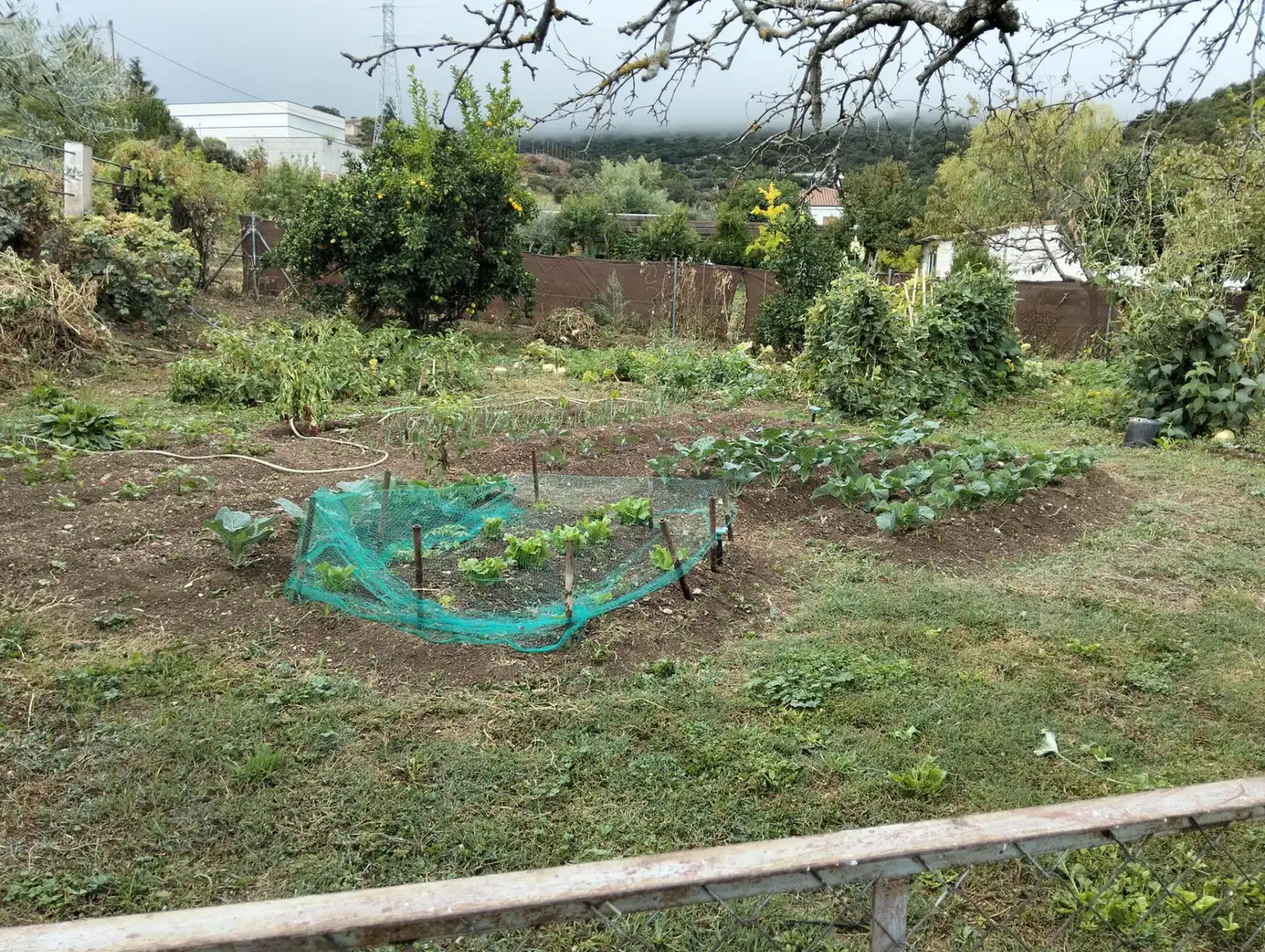 Jardí de Casa o xalet en venda en Cáceres amb Aire condicionat, Jardí privat i Piscina