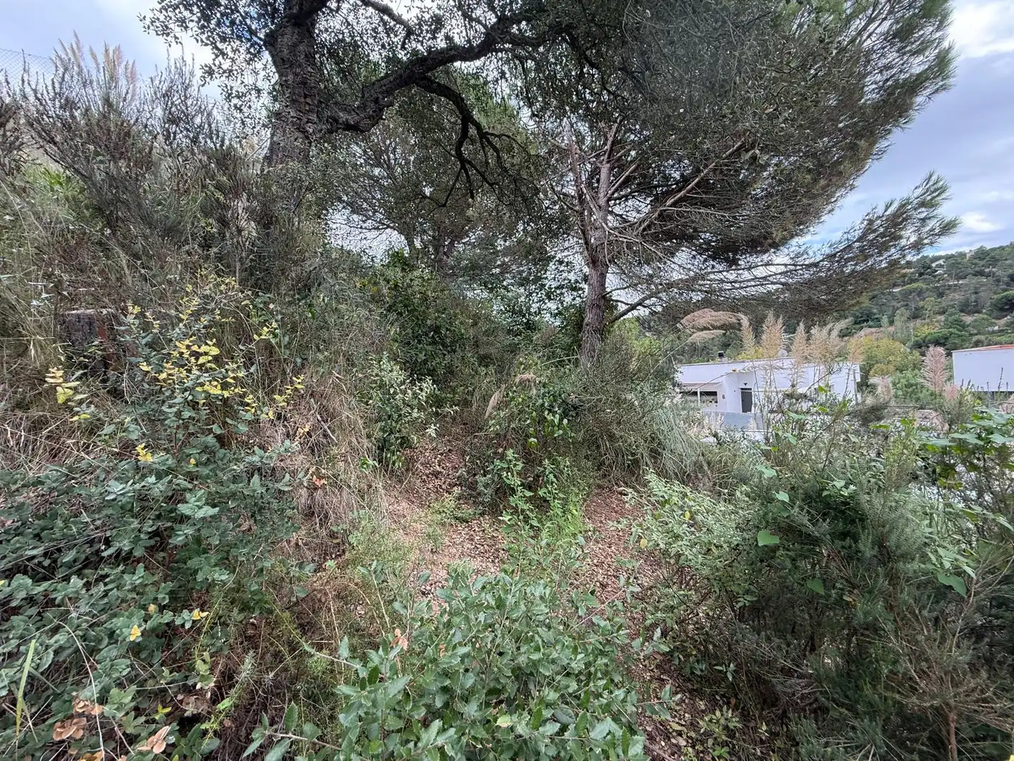 Terrenys i solars en venda a Lloret Residencial - Montlloret, imagen 10