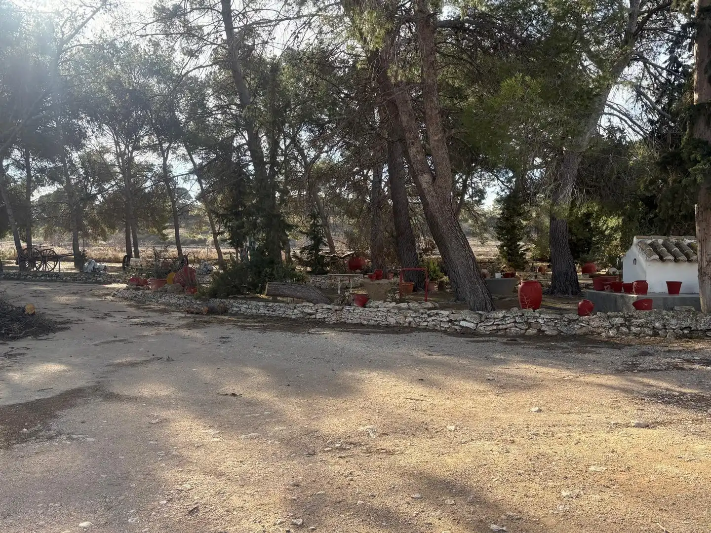 Finca rústica en venta en Ontur