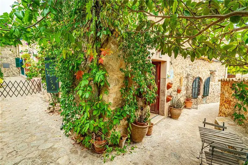 Vista exterior de Casa o xalet en venda en Valldemossa, Illes Balears