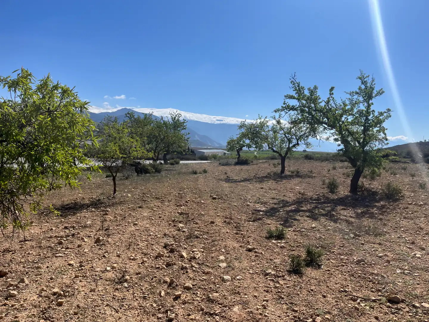 Rustikales Grundstück zum Verkauf in Avenida de Andalucía, imagen 7