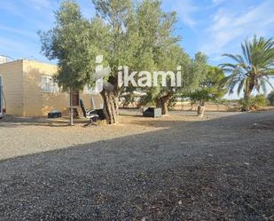 Land for sale in San Javier