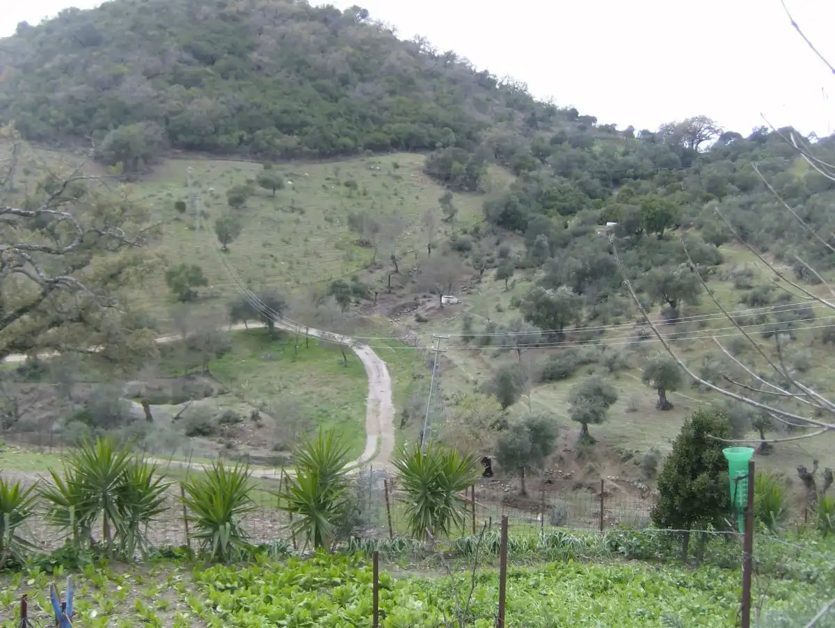Casa rústica en venda a Benaocaz, imagen 14