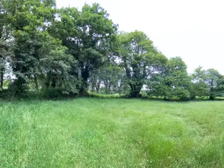 Finca rústica en venda en Begonte