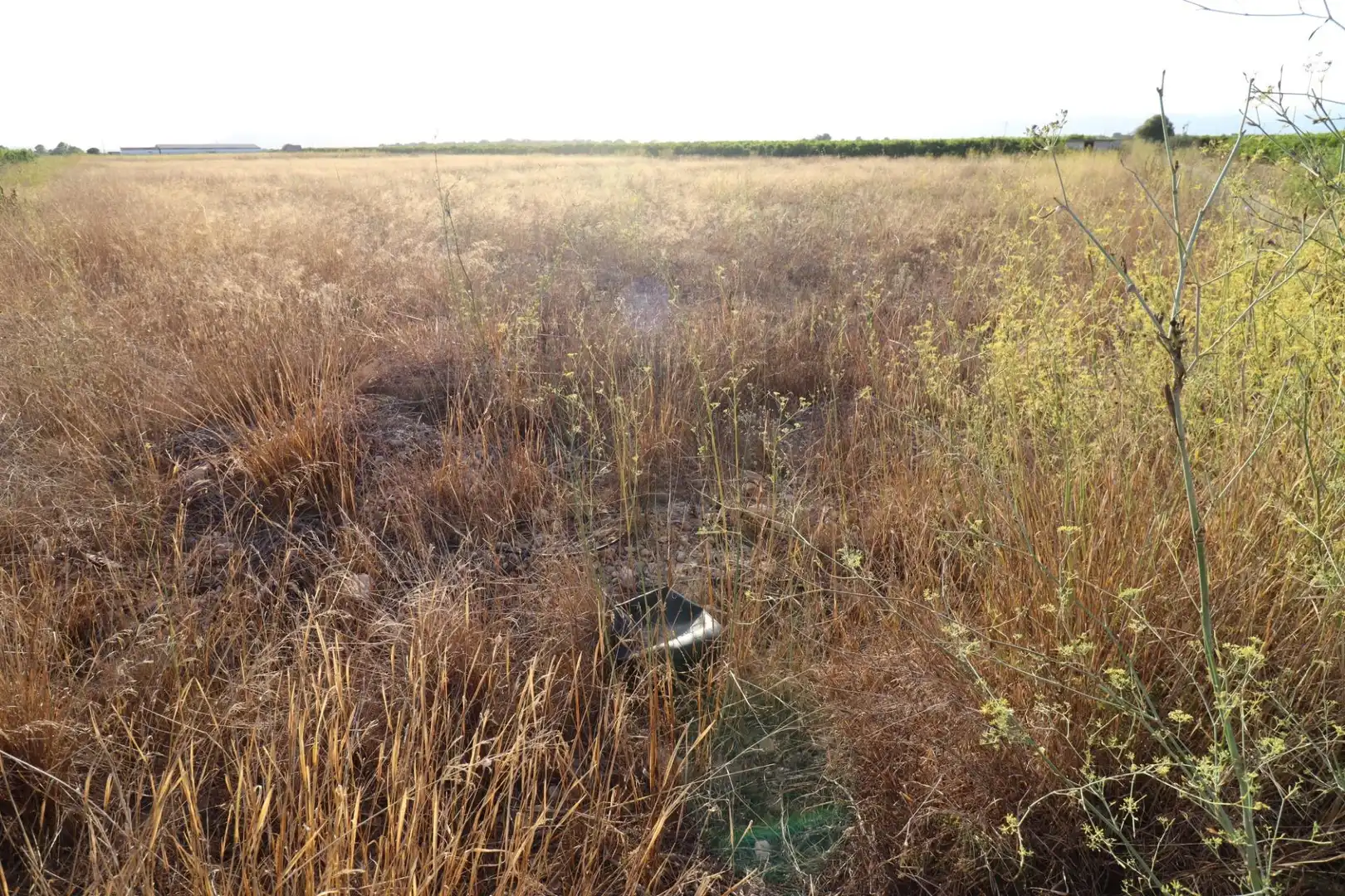 Rural land for sale in Traiguera, imagen 3