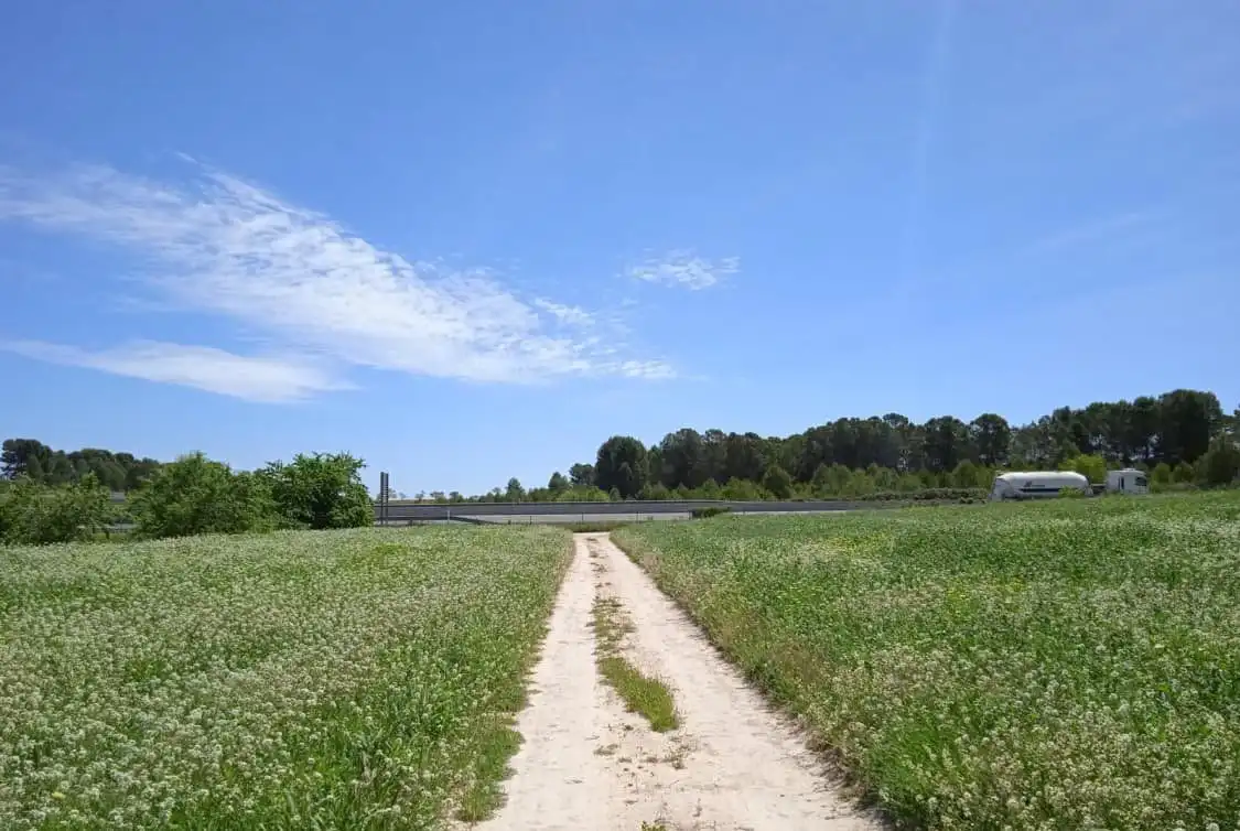 Terreno residenziale in vendita a Agullent, imagen 3
