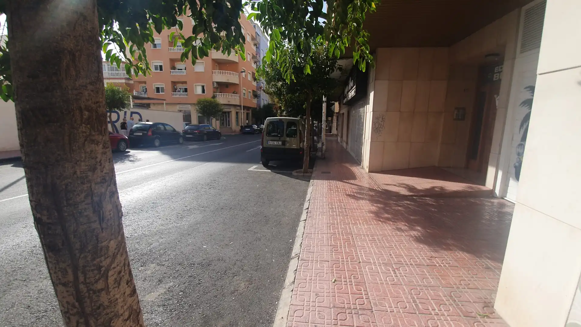 Parking de Casa o chalet en venta en Torrevieja con Jardín privado, Terraza y Balcón