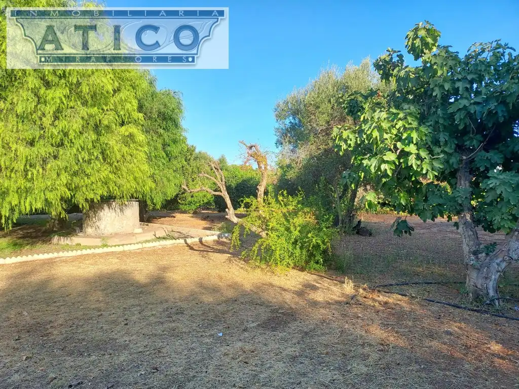 Houses for sale in La Rinconada