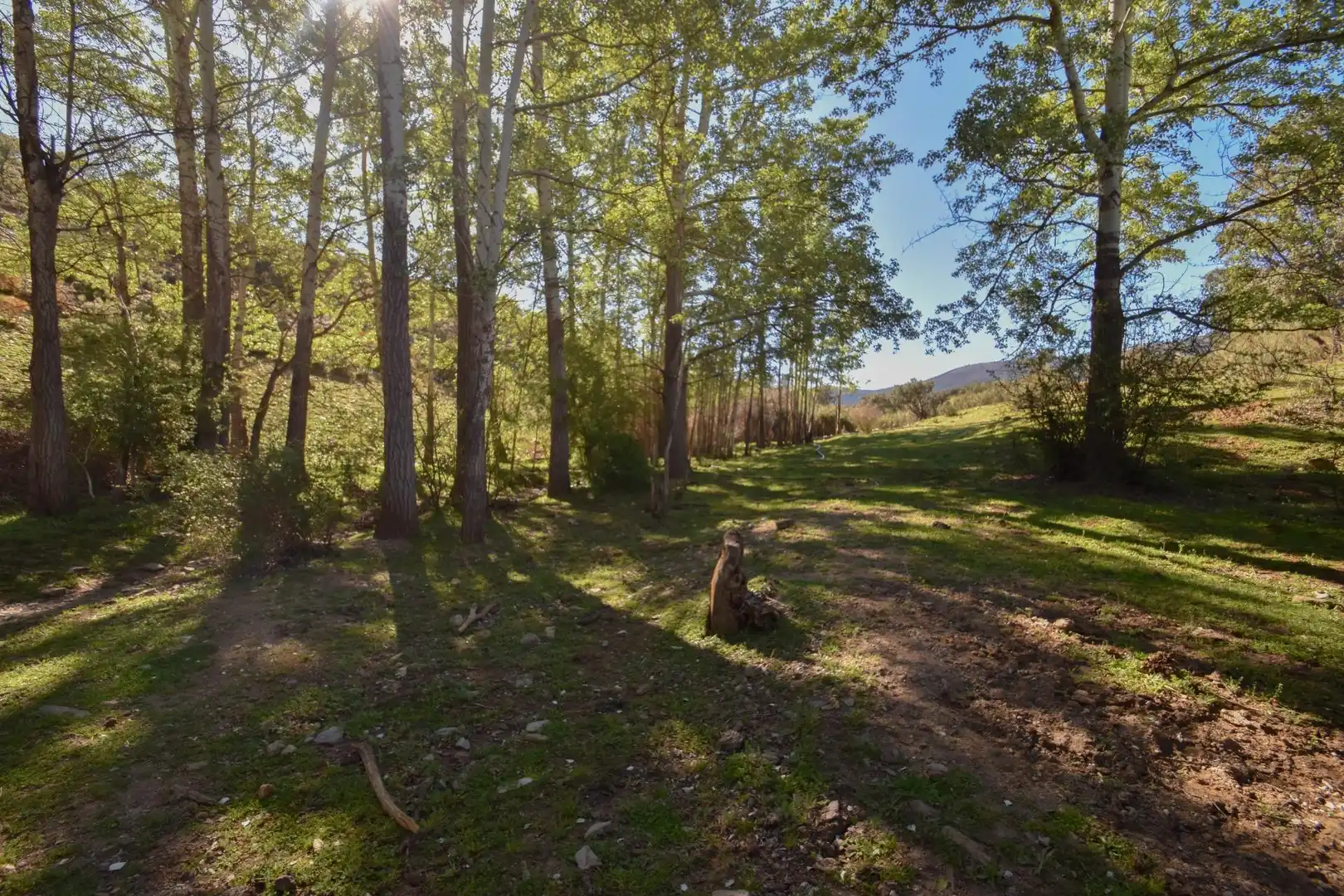 Terreno en venta en Paraje de las Perdices, Lugros